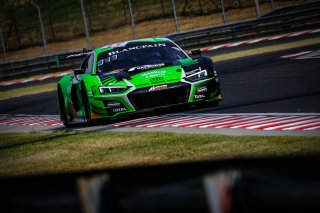 #17 Belgian Audi Club Team WRT BEL Audi R8 LMS GT3 2019 Tom Gamble GBR Shae Davies AUS Silver Cup, Free Practice 1
