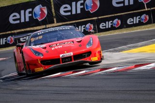 #444 HB Racing AUT Ferrari 488 GT3 Florian Scholze DEU Wolfgang Triller DEU Am Cup, Free Practice 1
