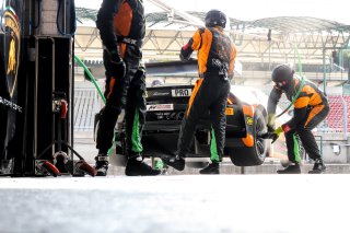 Free Practice 2
