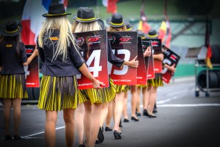 Gridwalk, Race 2
