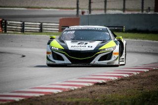 #22 Jenson Team Rocket RJN GBR Honda Acura NSX GT3 2019 Ricardo Sanchez MEX Matt McMurry USA Philipp Frommenwiler CHE Silver Cup, Friday Sessions
