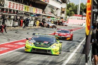 Free Practice
