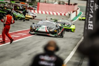 Free Practice
