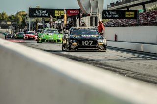 Free Practice
