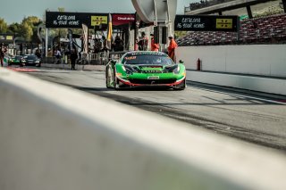 Free Practice

