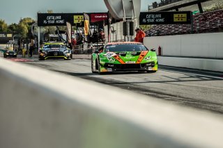 Free Practice
