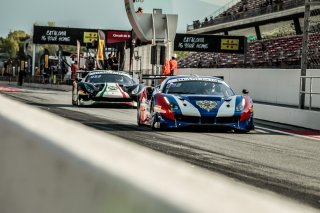 Free Practice
