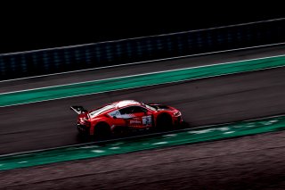 #2 Belgian Audi Club Team WRT BEL Audi R8 LMS GT3 2019 Dries Vanthoor BEL Ezequiel Perez Companc ARG Alex Riberas ESP -, Free Practice
