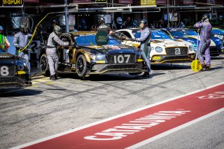 Pitlane, Pre-Qualifying
