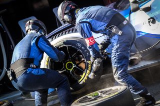 Pitlane, Race
