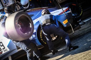 Pitlane, Race
