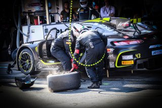 Pitlane, Race
