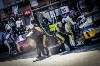 Pitlane, Race
