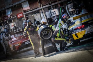 Pitlane, Race

