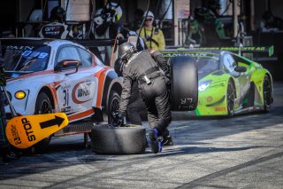 Pitlane, Race
