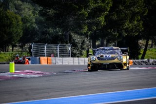 #67 Dinamic Motorsport ITA Porsche 911 GT3 R (991.II), Test Days
