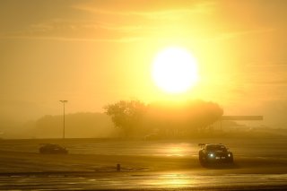 Free Practice
