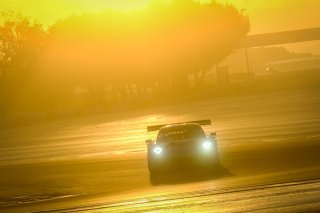 #12 GPX Racing UAE Porsche 911 GT3-R (991.II) - Matt Campbell AUS Patrick Pilet FRA Mathieu Jaminet FRA, Free Practice
