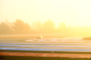 Free Practice
