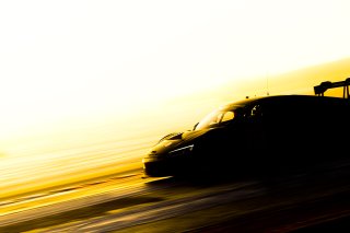 Free Practice
