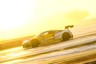 #25 Sainteloc Racing FRA Audi R8 LMS GT3 - Markus Winkelhock DEU Dorian Boccolacci FRA Christopher Haase DEU, Free Practice
