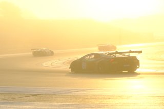 Free Practice
