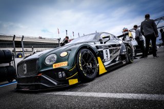 #9 K-Pax Racing USA Bentley Continental GT3 - Jordan Pepper ZAF Alvaro Parente PRT Andy Soucek ESP, Gridwalk, Race
