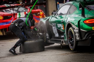GTWCE, Pitlane, Race 2
