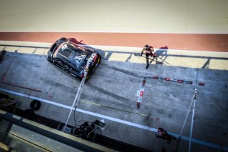 #31 Belgian Audi Club Team WRT BEL Audi R8 LMS GT3 - Ryuichiro Tomita JPN Kelvin van der Linde ZAF, Pitlane, Race 2
