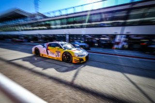 #25 Sainteloc Racing FRA Audi R8 LMS GT3 - Arthur Rougier FRA Christopher Haase DEU, Pitlane, Pre-Qualifying

