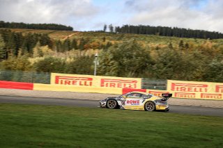 #98 ROWE Racing DEU- Laurens Vanthoor BEL Nick Tandy GBR Earl Bamber NZL IGTC, Free Practice 1
