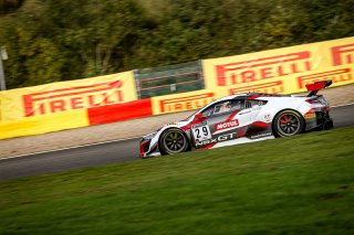#29 Team Honda Racing ITA- Dane Cameron USA Renger  van der Zande NDL Mario Farnbacher DEU IGTC, Free Practice 1
