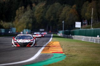 #29 Team Honda Racing ITA- Dane Cameron USA Renger  van der Zande NDL Mario Farnbacher DEU IGTC, Pre-Qualifying
