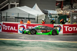#66 Audi Sport Team Attempto Racing DEU- Mattia Drudi ITA Patric Niederhauser CHE Frederic Vervisch BEL IGTC, Warm Up
