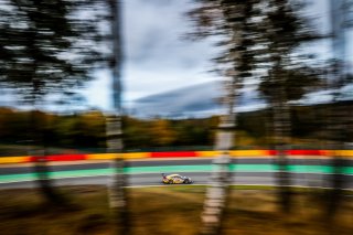 #99 ROWE Racing DEU- Klaus Bachler AUT Dirk Werner DEU Julien Andlauer FRA, Race
