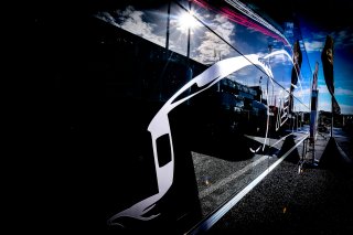 Paddock
