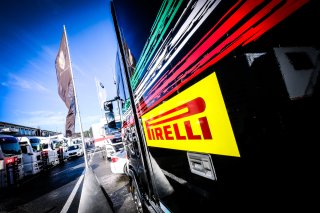 Paddock

