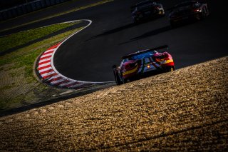 #51 AF Corse ITA Ferrari 488 GT3 - Alessandro Pier Guidi ITA Nicklas Nielsen DNK James Calado GBR, Free Practice
