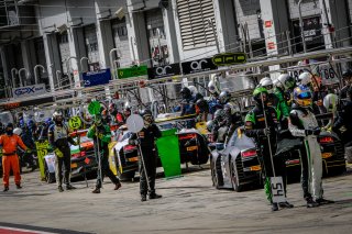 Pitlane, Race
