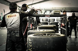 Paddock
