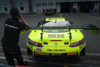 Paddock
