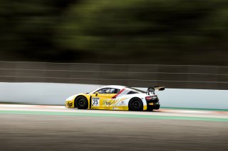 #25 Sainteloc Racing FRA Audi R8 LMS GT3 - Arthur Rougier FRA Christopher Haase DEU, Free Practice 1
