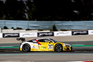 #25 Sainteloc Racing FRA Audi R8 LMS GT3 - Arthur Rougier FRA Christopher Haase DEU, Pre-Qualifying

