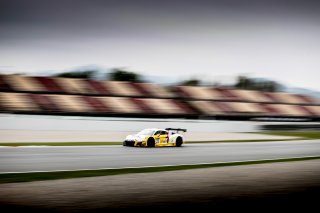 #25 Sainteloc Racing FRA Audi R8 LMS GT3 - Arthur Rougier FRA Christopher Haase DEU, Pre-Qualifying
