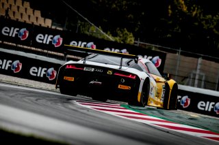 #25 Sainteloc Racing FRA Audi R8 LMS GT3 - Arthur Rougier FRA Christopher Haase DEU, Pre-Qualifying
