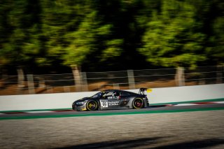 #66 Attempto Racing DEU Audi R8 LMS GT3 - Nicolas  Schöll AUT Frederic Vervisch BEL, Qualifying 2
