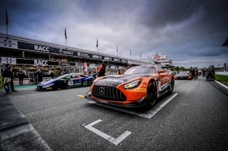 #4 HRT DEU Mercedes-AMG GT3 - Luca Stolz DEU Maro Engel DEU, Gridwalk, Race 1
