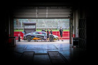 Track Walk
