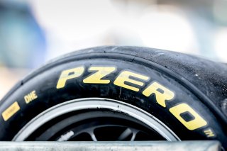 Paddock
