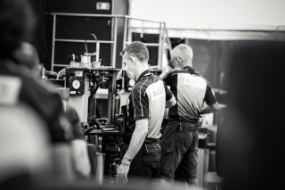 Paddock
